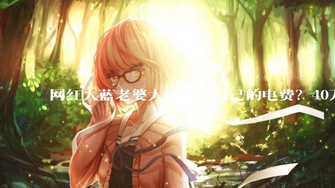 网红大蓝老婆大叶子晒自己的电费？40万每年，到底是什么概念？