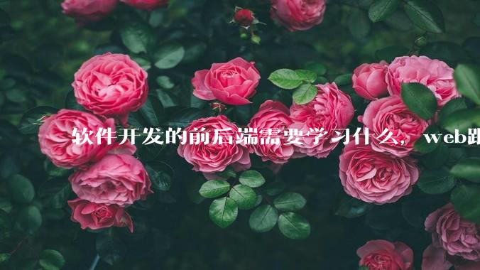 软件开发的前后端需要学习什么，web跟应用程序的关联是什么？