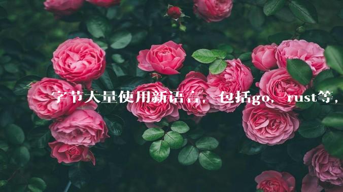 字节大量使用新语言，包括go，rust等，为什么阿里一直都抱着j***a不松手？