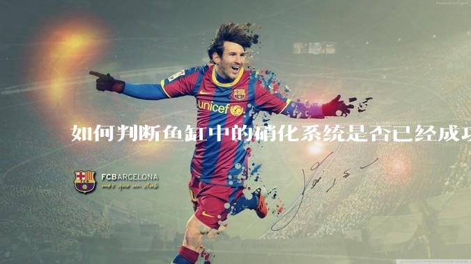 如何判断鱼缸中的硝化系统是否已经成功建立？