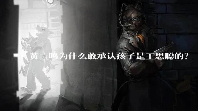 黄一鸣为什么敢承认孩子是王思聪的？