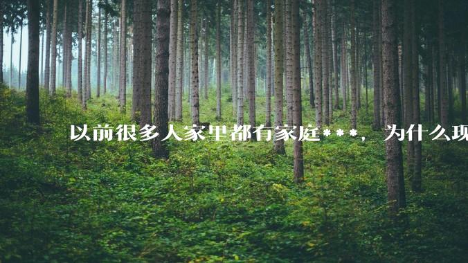 以前很多人家里都有家庭***，为什么现在几乎看不到了？