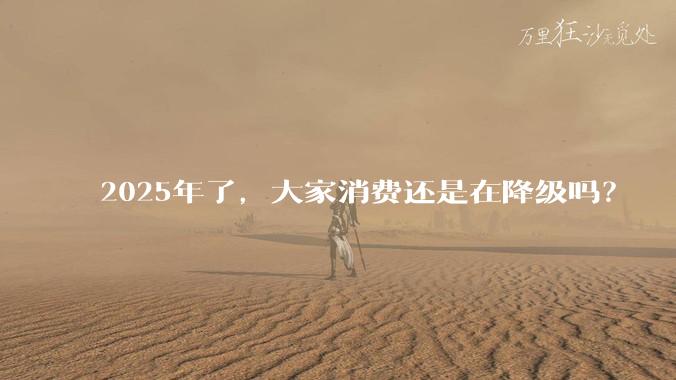 2025年了，大家消费还是在降级吗？