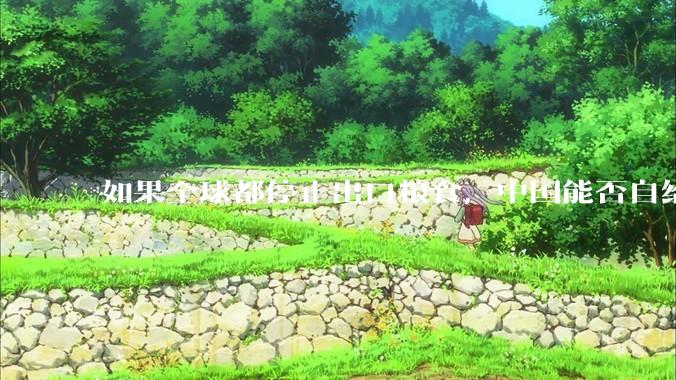 如果全球都停止出口粮食，中国能否自给自足？