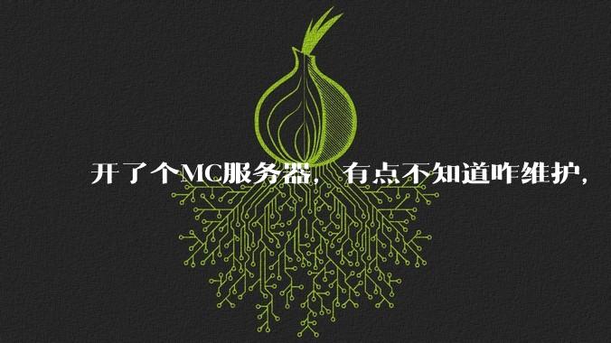 开了个MC服务器，有点不知道咋维护，有谁愿意帮我看看嘛？