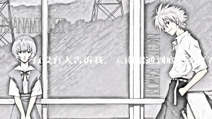 有没有人告诉我，云南昭通到底怎么样？