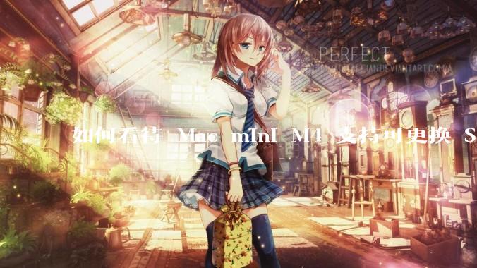 如何看待 Mac mini M4 支持可更换 SSD？