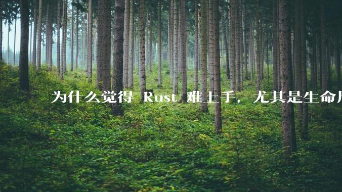 为什么觉得 Rust 难上手，尤其是生命周期？