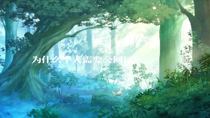 为什么个人需要公网ip？