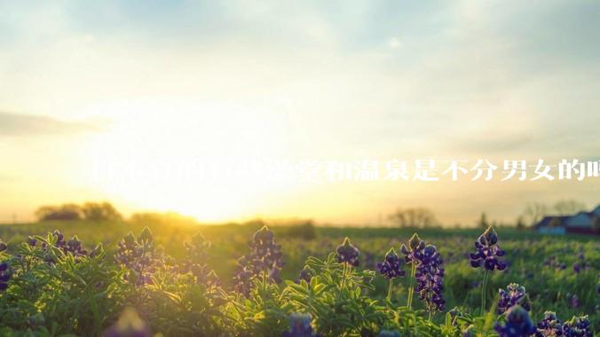 日本真的有些澡堂和温泉是不分男女的吗？有人去过不分男女的那种吗？